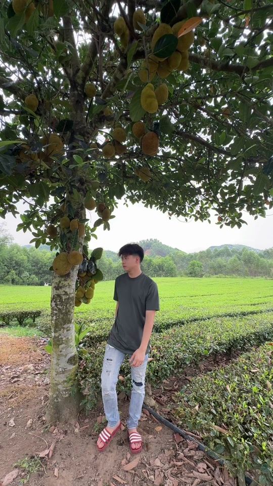 TikTok video thumbnail by tienthanh04_