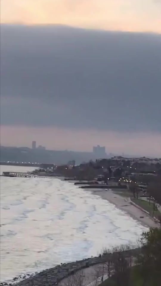 TikTok video thumbnail by samra_youssef_sarraf