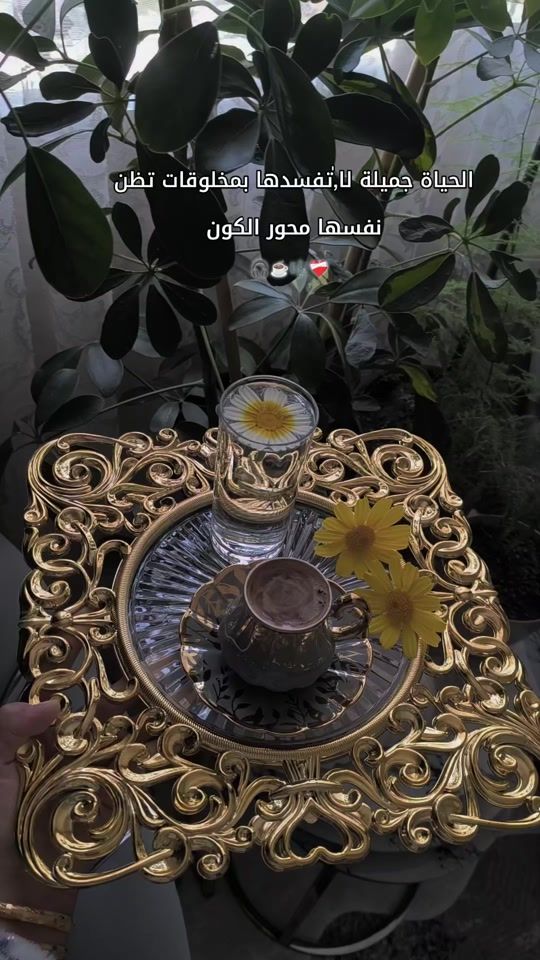 TikTok video thumbnail by rihaam00