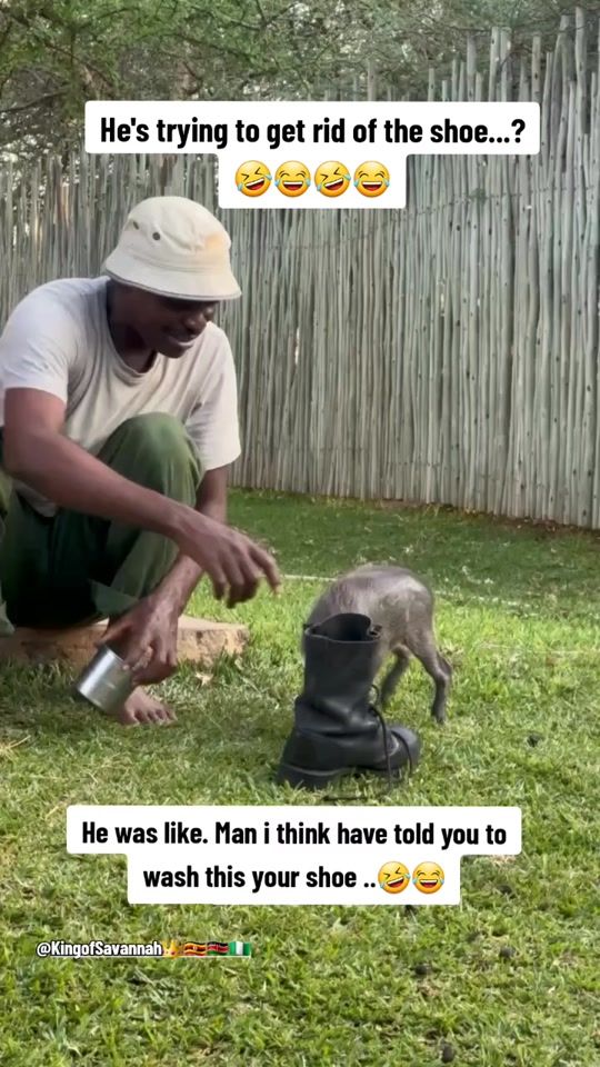 TikTok video thumbnail by officiallike34