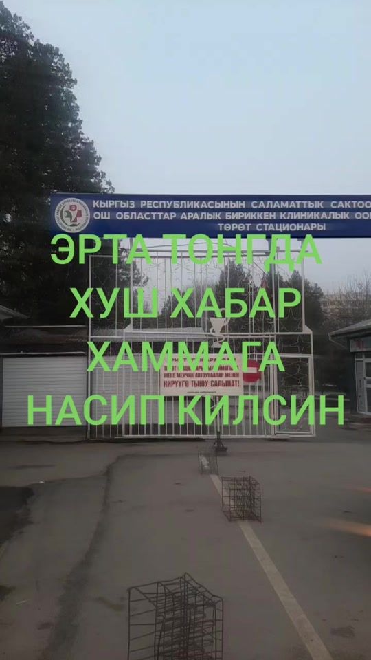 TikTok video thumbnail by _tayassaro_7744
