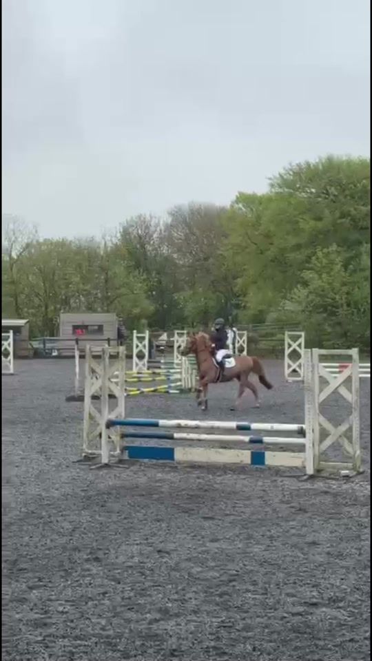 TikTok video thumbnail by jess_equine17