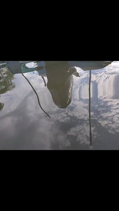 TikTok video thumbnail by warnermorales92