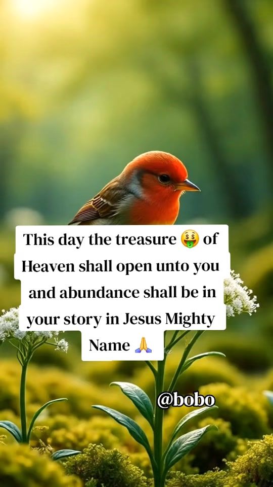 TikTok video thumbnail by boboofficial02