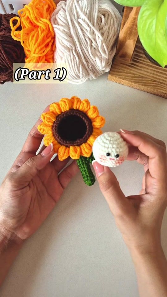 TikTok video thumbnail by crochetsu2