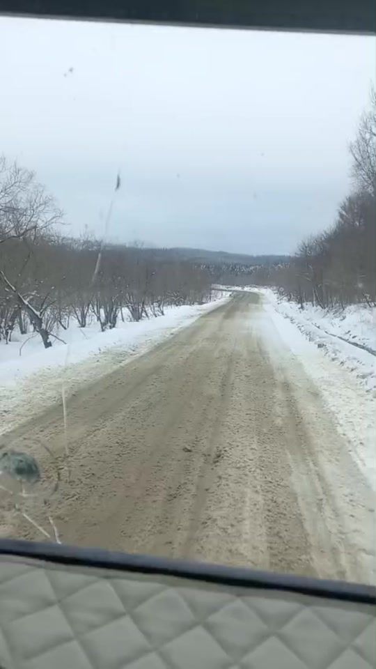 TikTok video thumbnail by elcin_0.2.4