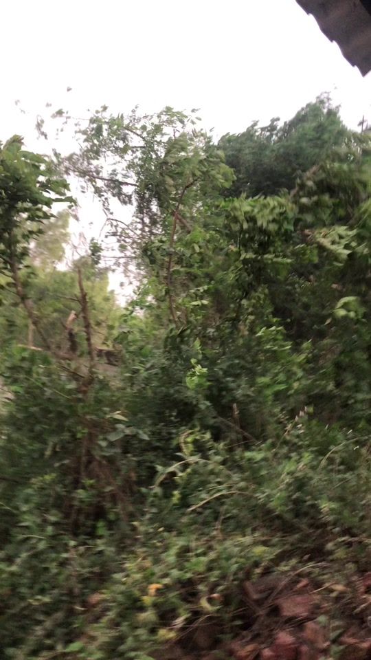TikTok video thumbnail by dear_aashika00
