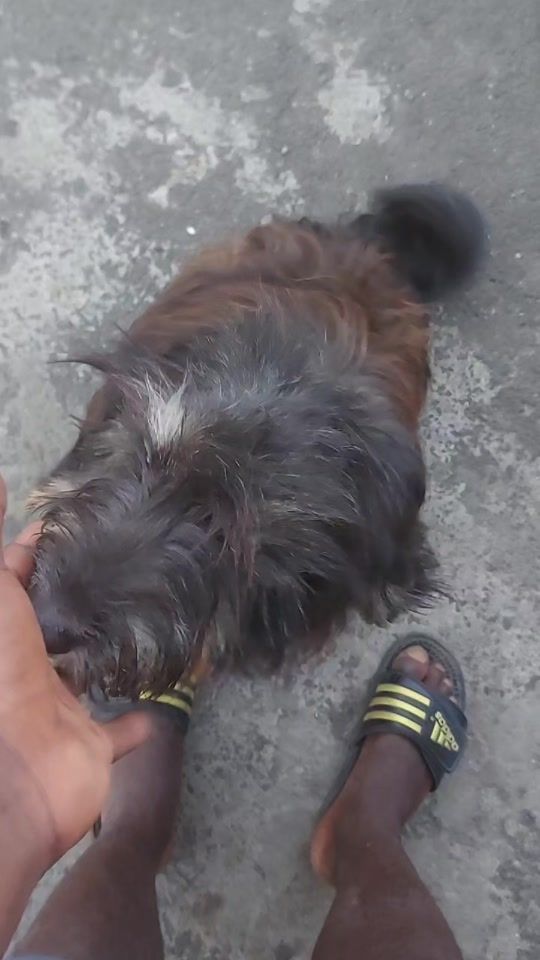TikTok video thumbnail by james.josseley