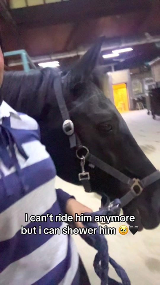 TikTok video thumbnail by ranadalaskar