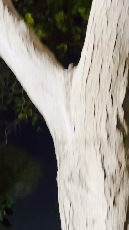 TikTok video thumbnail by kumar.rd1