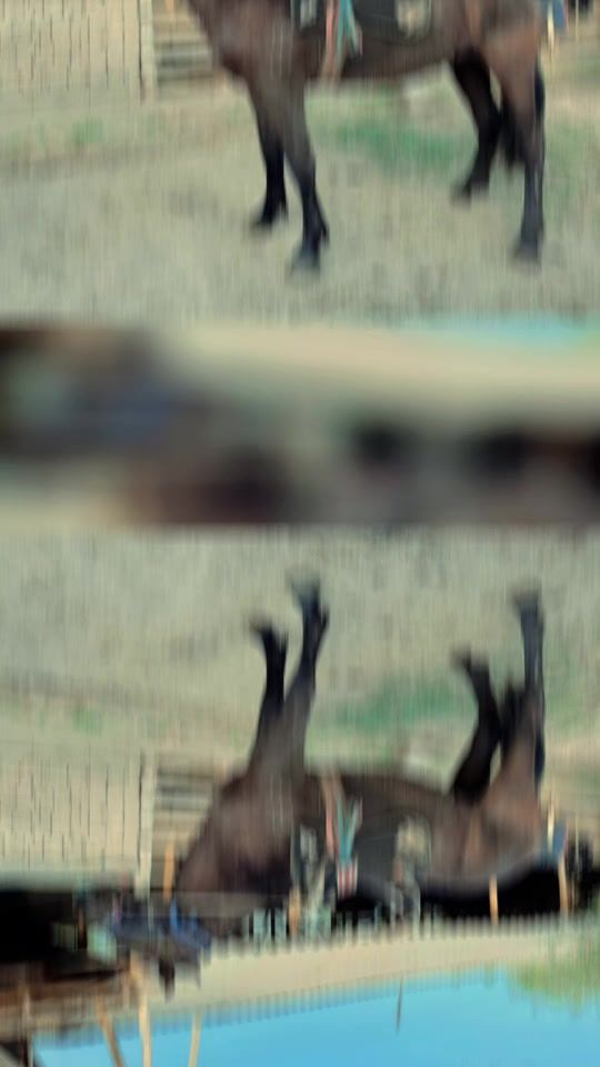 TikTok video thumbnail by user9117361128698