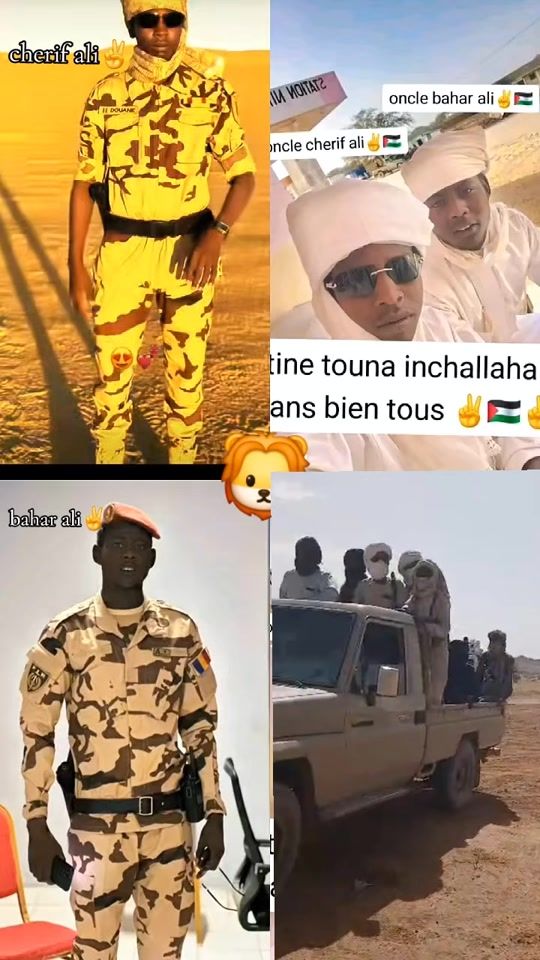 TikTok video thumbnail by moti.tasko