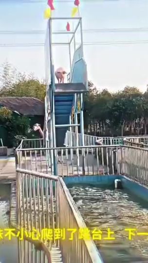 TikTok video thumbnail by theyellow_duck0