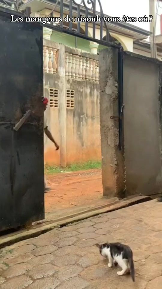 TikTok video thumbnail by kinzinga_jamais_242