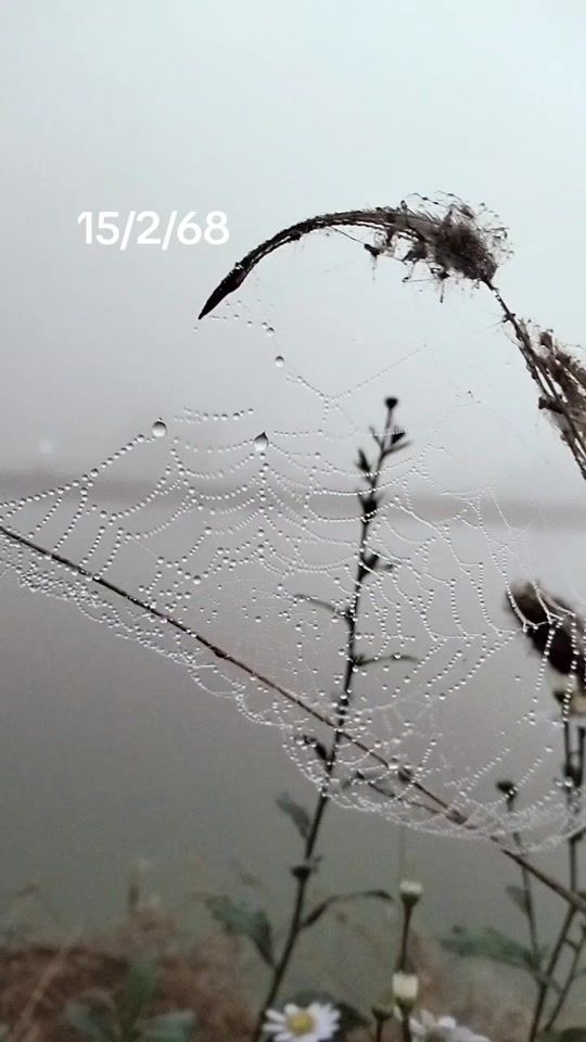 TikTok video thumbnail by user9073292170952