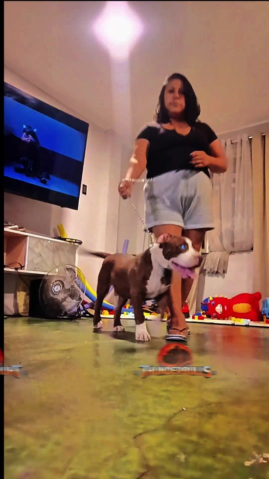 TikTok video thumbnail by analy_8a_