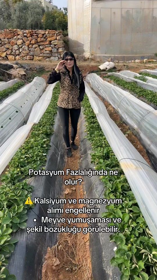 TikTok video thumbnail by hk_kimya