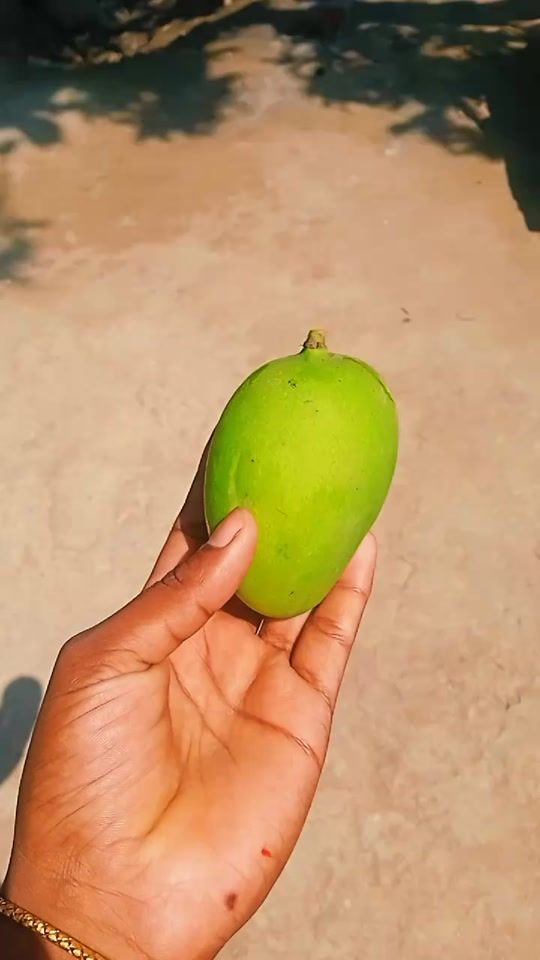 TikTok video thumbnail by billal.taposhi