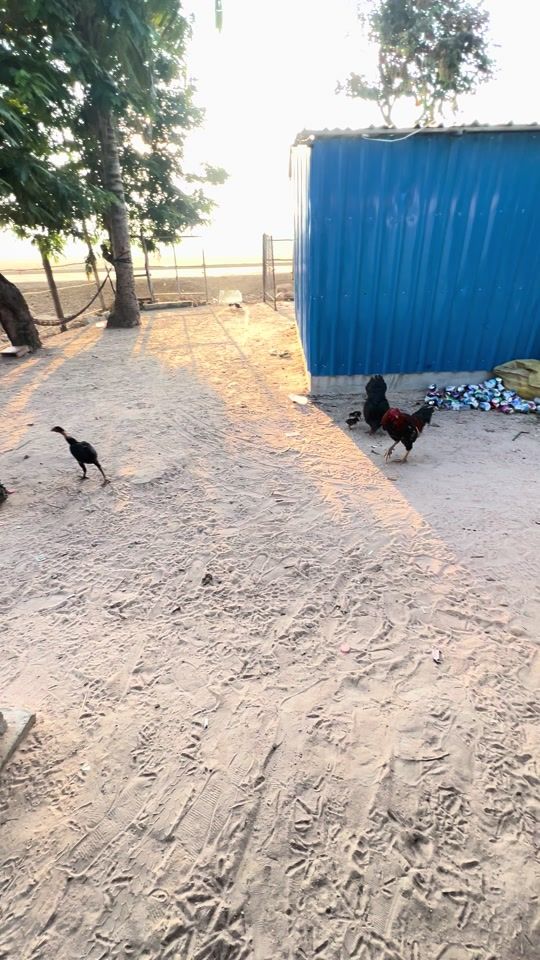 TikTok video thumbnail by jee.pich352
