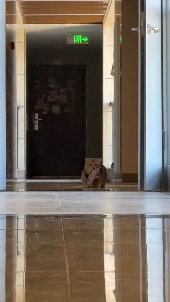 TikTok video thumbnail by regina.yanou