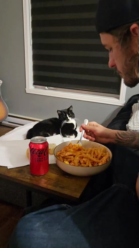 TikTok video thumbnail by tuxedomuffin