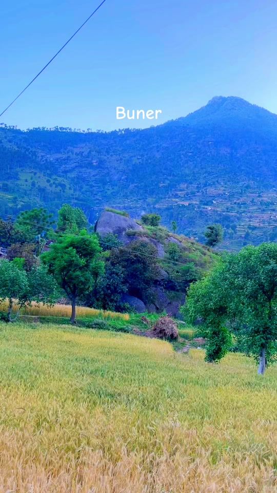 TikTok video thumbnail by z4_zimal