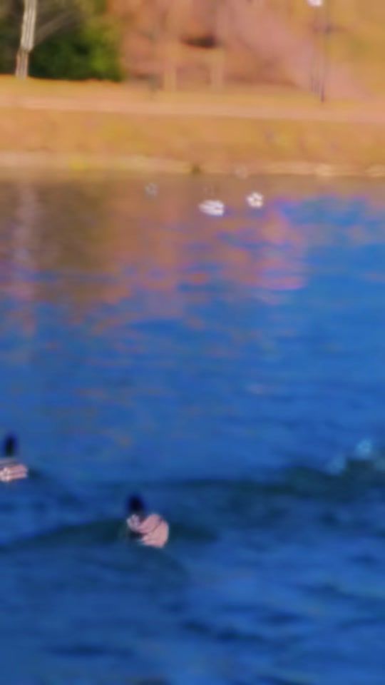 TikTok video thumbnail by katrinn998