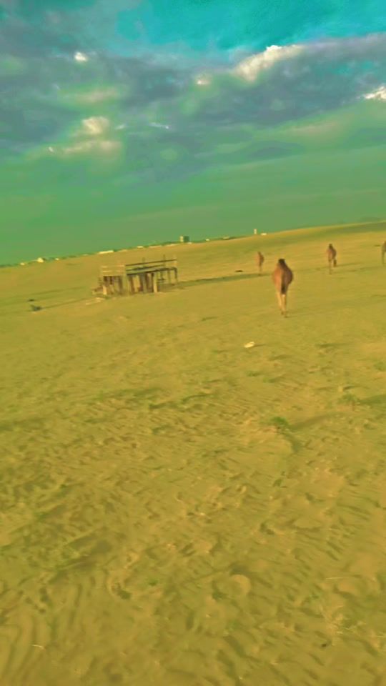 TikTok video thumbnail by kingbadsha547
