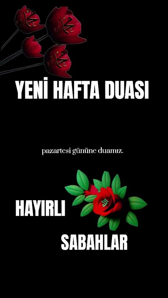 TikTok video thumbnail by zeynep._571