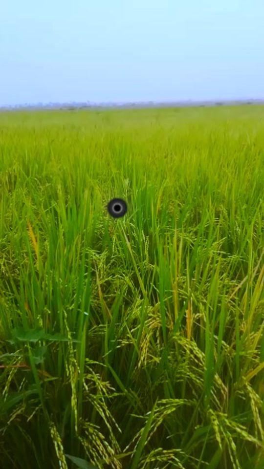 TikTok video thumbnail by ibstaro1