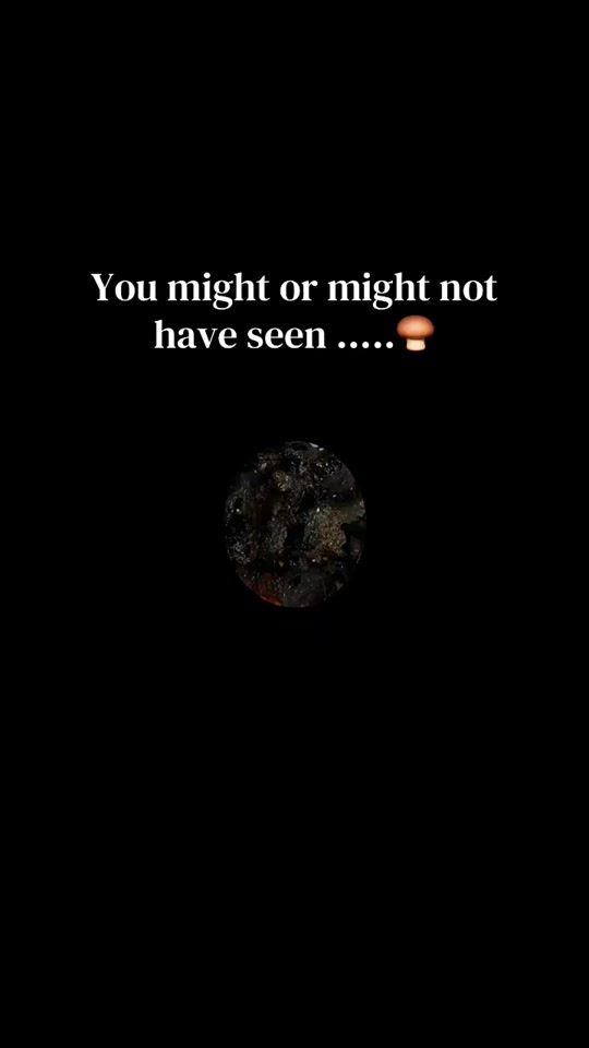 TikTok video thumbnail by xynelle_0