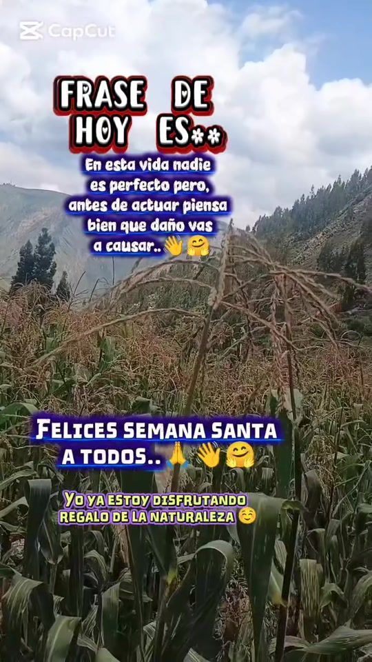 TikTok video thumbnail by efrainrojasquis