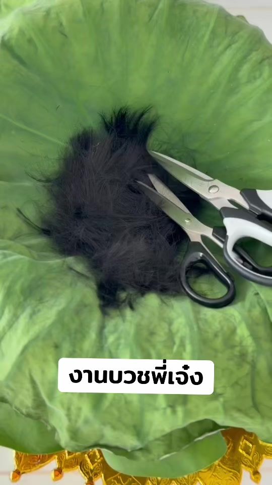 TikTok video thumbnail by maenid01