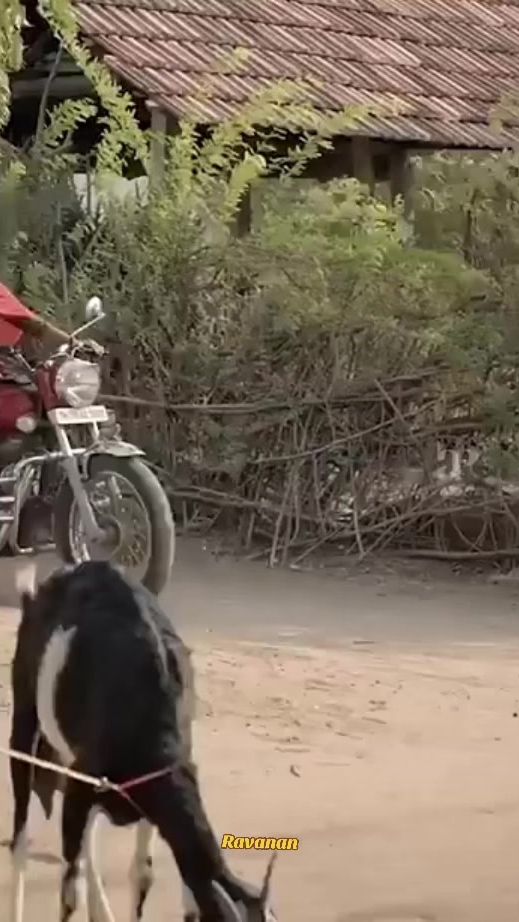 TikTok video thumbnail by ravanan_632