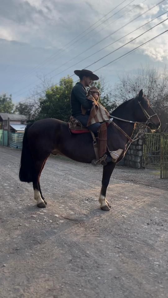 TikTok video thumbnail by el_huasito_de_queri