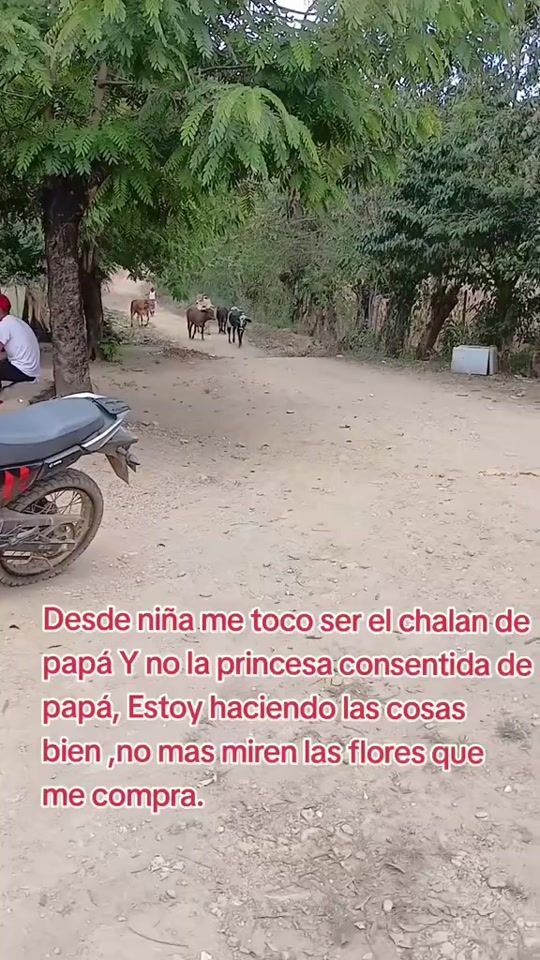 TikTok video thumbnail by delmin.castillo
