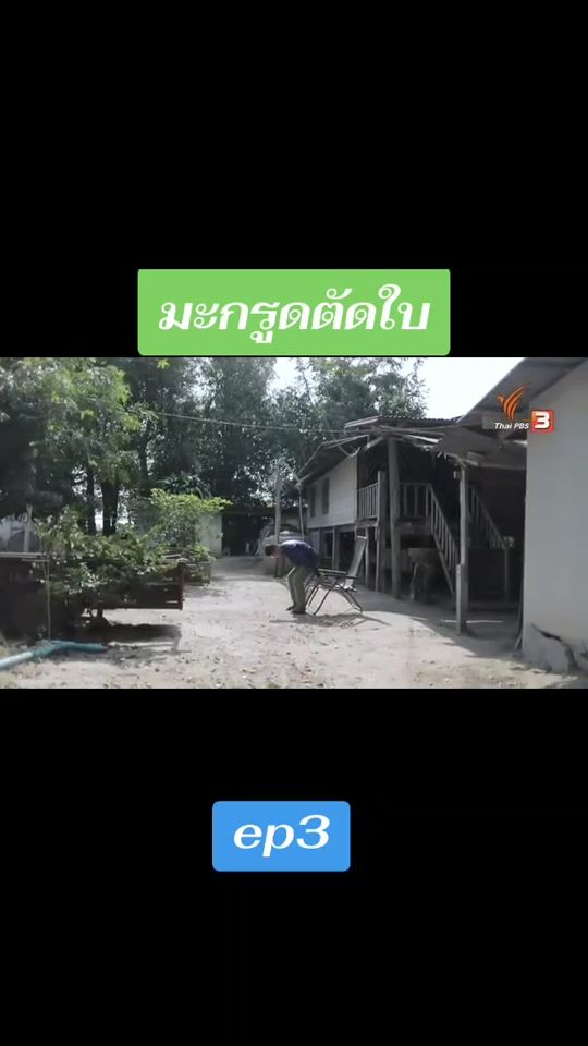 TikTok video thumbnail by korn069