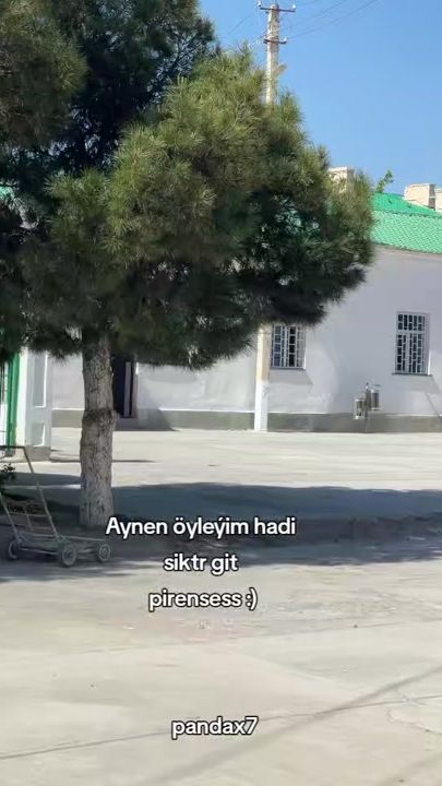 TikTok video thumbnail by panda.x71