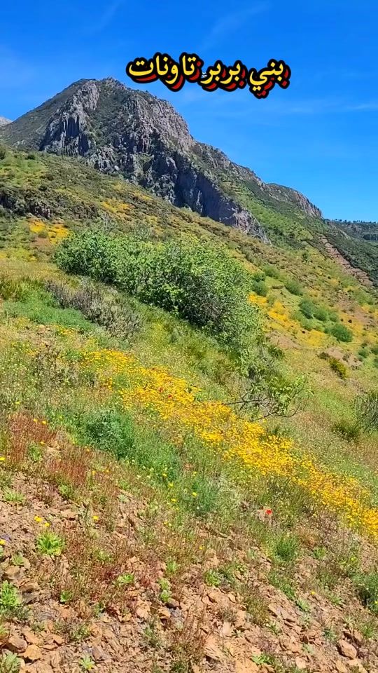 TikTok video thumbnail by aljamila.taounate