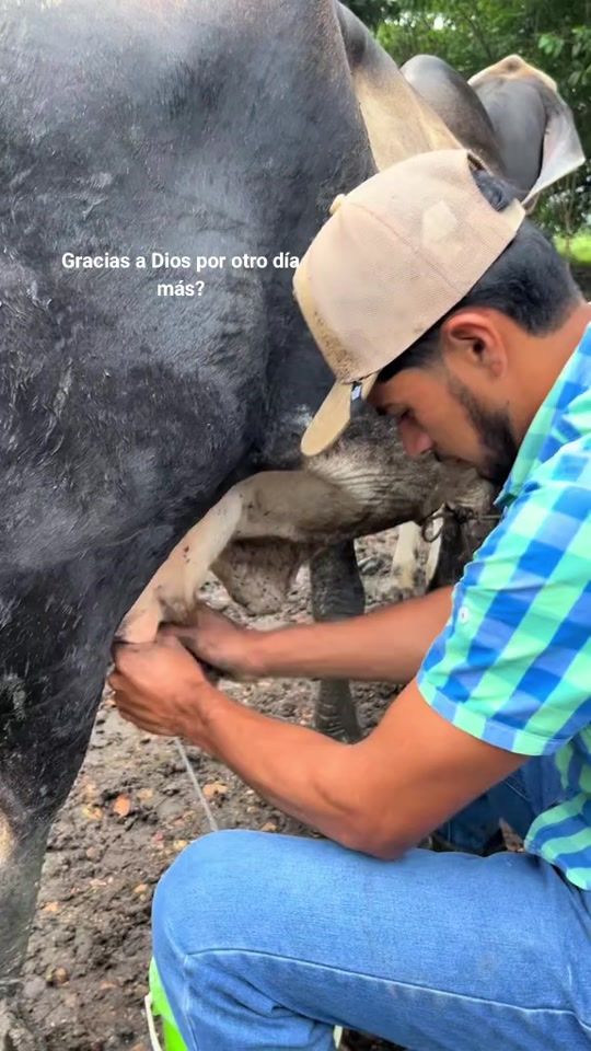 TikTok video thumbnail by hernanbreganza