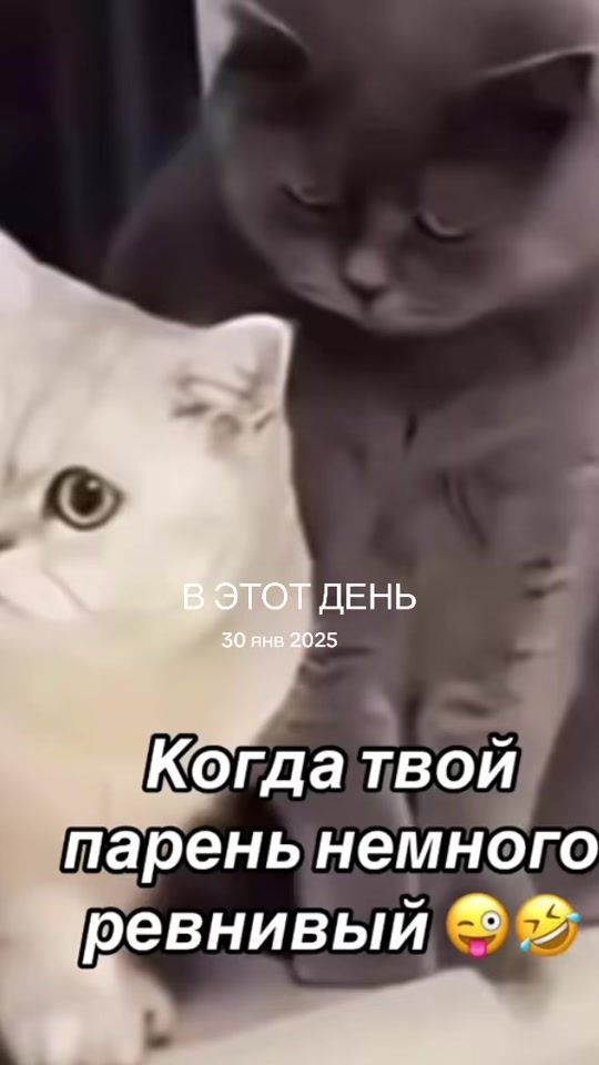 TikTok video thumbnail by _m.i.a_91
