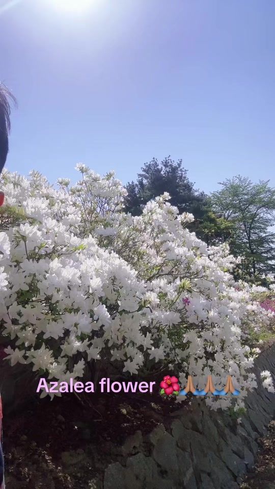TikTok video thumbnail by cmk941