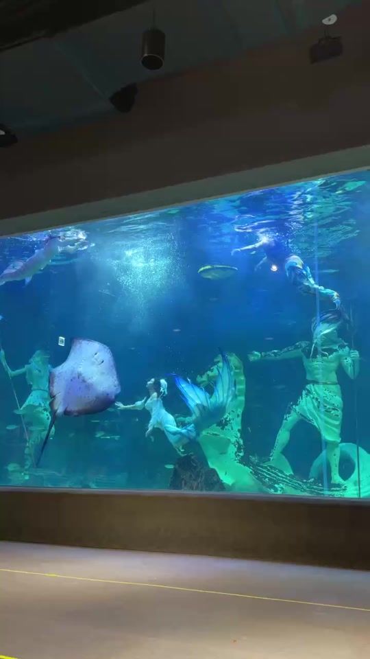 TikTok video thumbnail by minmin_fish