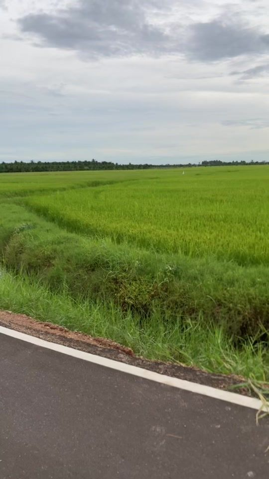 TikTok video thumbnail by notwatjang