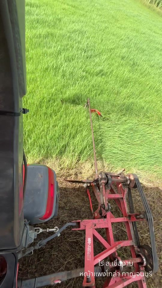 TikTok video thumbnail by pangora_kri