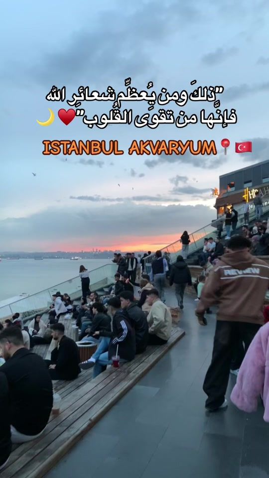 TikTok video thumbnail by alshushu1
