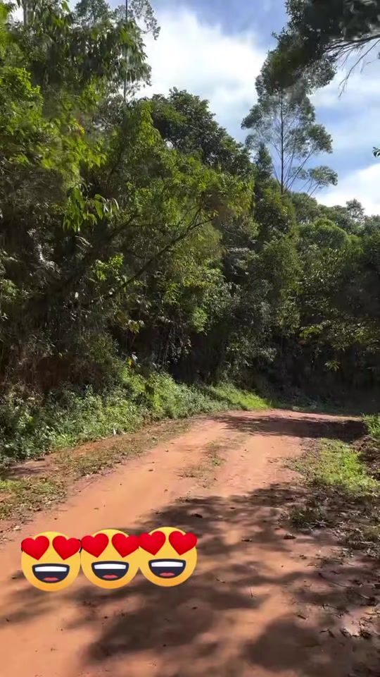 TikTok video thumbnail by anjodapaz33