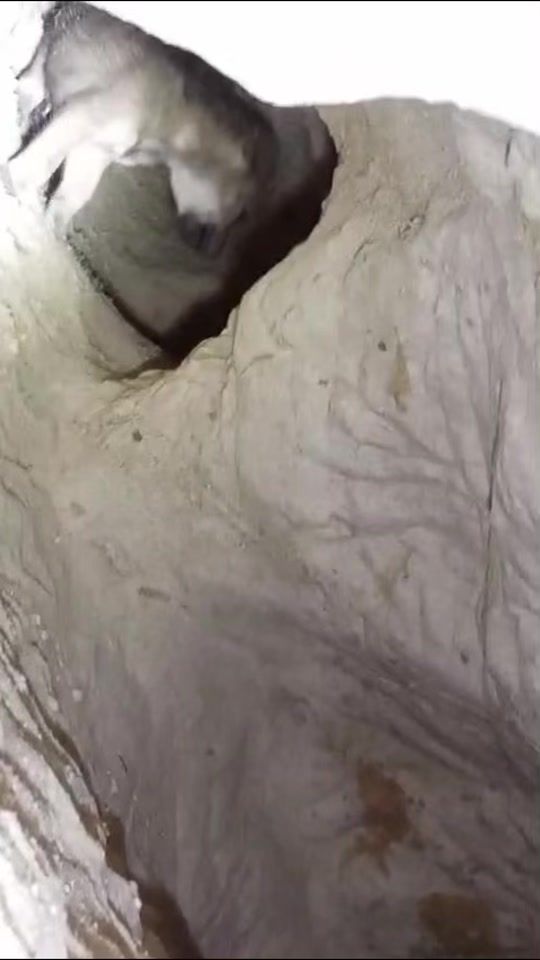 TikTok video thumbnail by aldeebalmshety