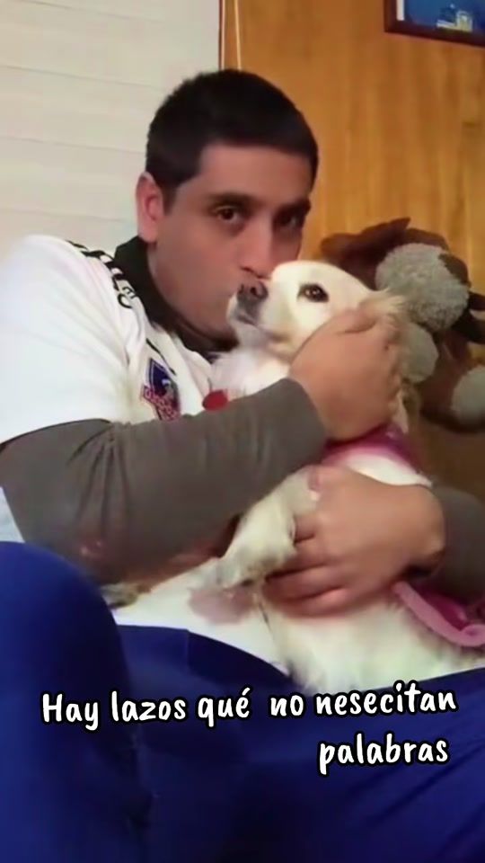 TikTok video thumbnail by pablopapuchontv