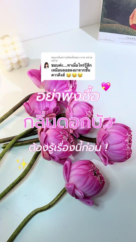 TikTok video thumbnail by wishupon.a.star